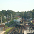 DSC_5973a.jpg