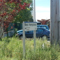 DSC_6017.jpg
