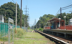 DSC_6037a.jpg