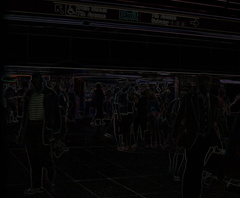 DSC_6139a_45.jpg
