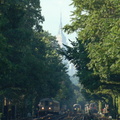 DSC_6291a_60.jpg