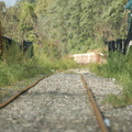 Yonkers running track or something @ Riverdale (Hudson Line). Photo taken by Brian Weinberg, 9/3/2006.