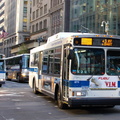 DSC_8215a.jpg