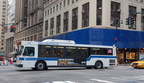 DSC_8243a.jpg