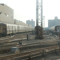 DSC_9123a.jpg