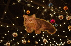 Token, the cat that lives at the Transit Museum, seen here pictured on a decoration hanging from the ceiling of the Transit Muse