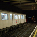 DSC_9499.jpg