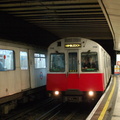 DSC_9501.jpg