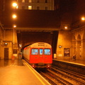 DSC_9529a.jpg