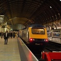 DSC_9530.jpg

Paddington