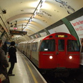 DSC_9532.jpg