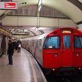 DSC_9533.jpg