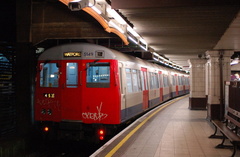 DSC_9538a.jpg