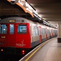 DSC_9538a.jpg
