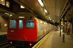 DSC_9541.jpg