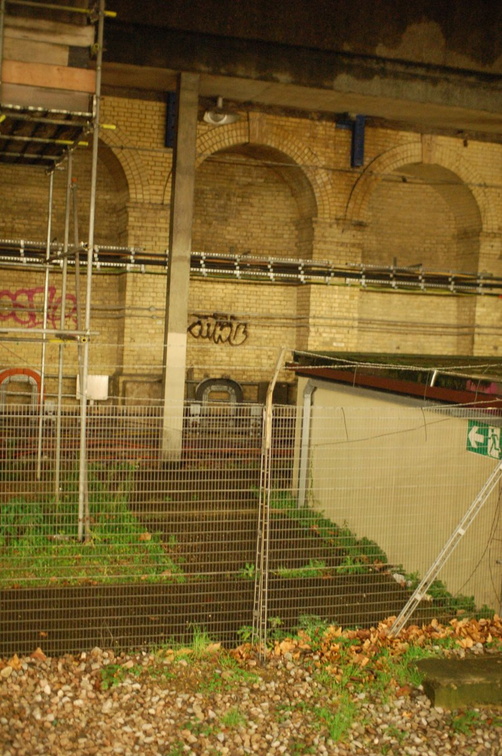 DSC_9625.jpg