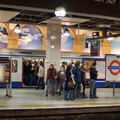 DSC_9640b.jpg