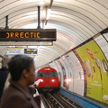 DSC_0104a_50.jpg