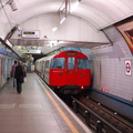 DSC_0109.jpg