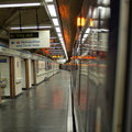 DSC_0148.jpg