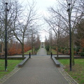 DSC_0246.jpg
