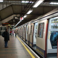 DSC_0619.jpg