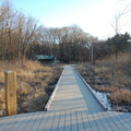 DSC_1024.jpg