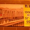 DSC_2457a.jpg