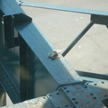 Gun Hill Rd (2/5). Dead bird on the supports for the former Third Avenue El. Photo taken by Brian Weinberg, 5/13/2007.