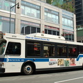 DSC_3988a.jpg