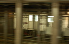 DSC_4023af.jpg