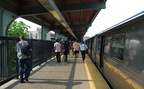 DSC_4134a.jpg