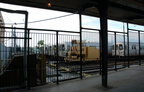 DSC_5263a.jpg