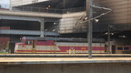 DSC_5713a.jpg