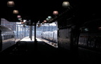 DSC_5714a.jpg