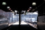 DSC_5718a.jpg