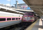 DSC_5753a.jpg