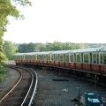 DSC_5952a.jpg