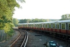 DSC_5952a.jpg