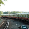 DSC_5953a.jpg