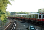 DSC_5953a.jpg