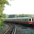 DSC_5955a.jpg