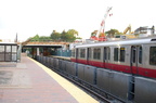DSC_6018a.jpg
