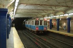 DSC_6109f.jpg