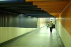 DSC_6134f.jpg