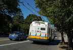 DSC_6191a.jpg