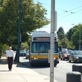 DSC_6197.jpg
