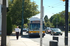 DSC_6197.jpg