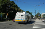 DSC_6198a.jpg