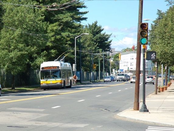 DSC_6203a.jpg